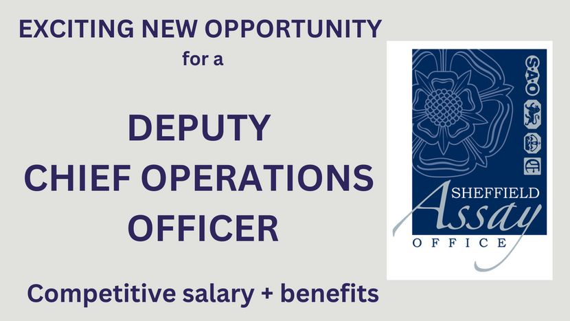 Could YOU be our new Deputy Chief Operations Officer?