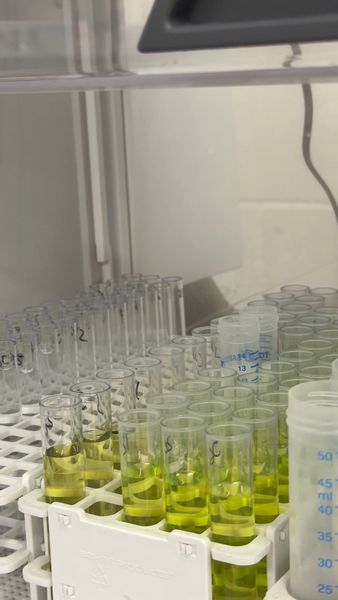REACH Testing: Is Your Jewellery Business Compliant?