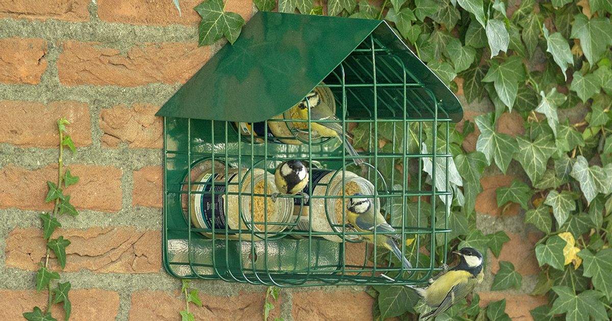 Beatson Clark’s Glass Jars are Strictly for the Birds