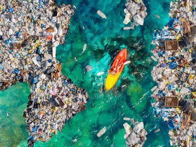 The Impact of Microplastics