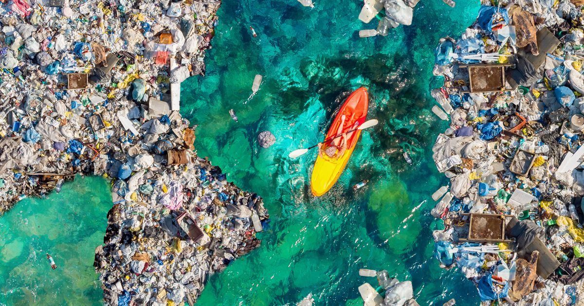 The Impact of Microplastics