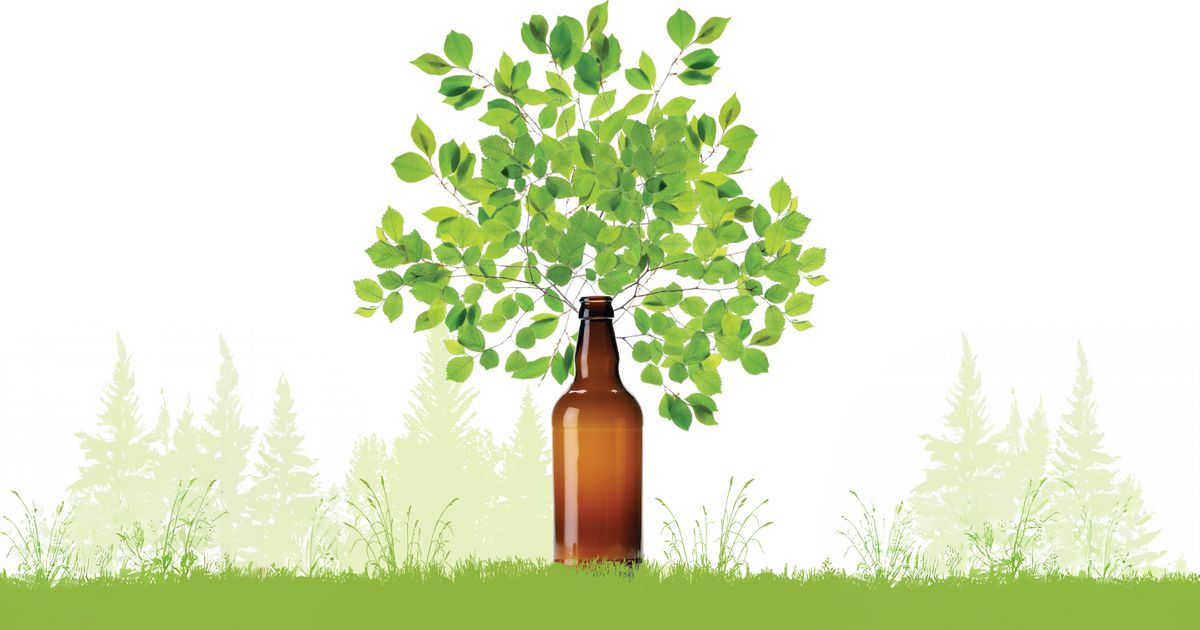 Why Glass Packaging is the Sustainable Choice for Your Brand