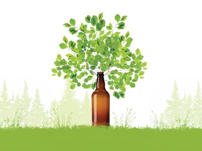 Why Glass Packaging is the Sustainable Choice for Your Brand