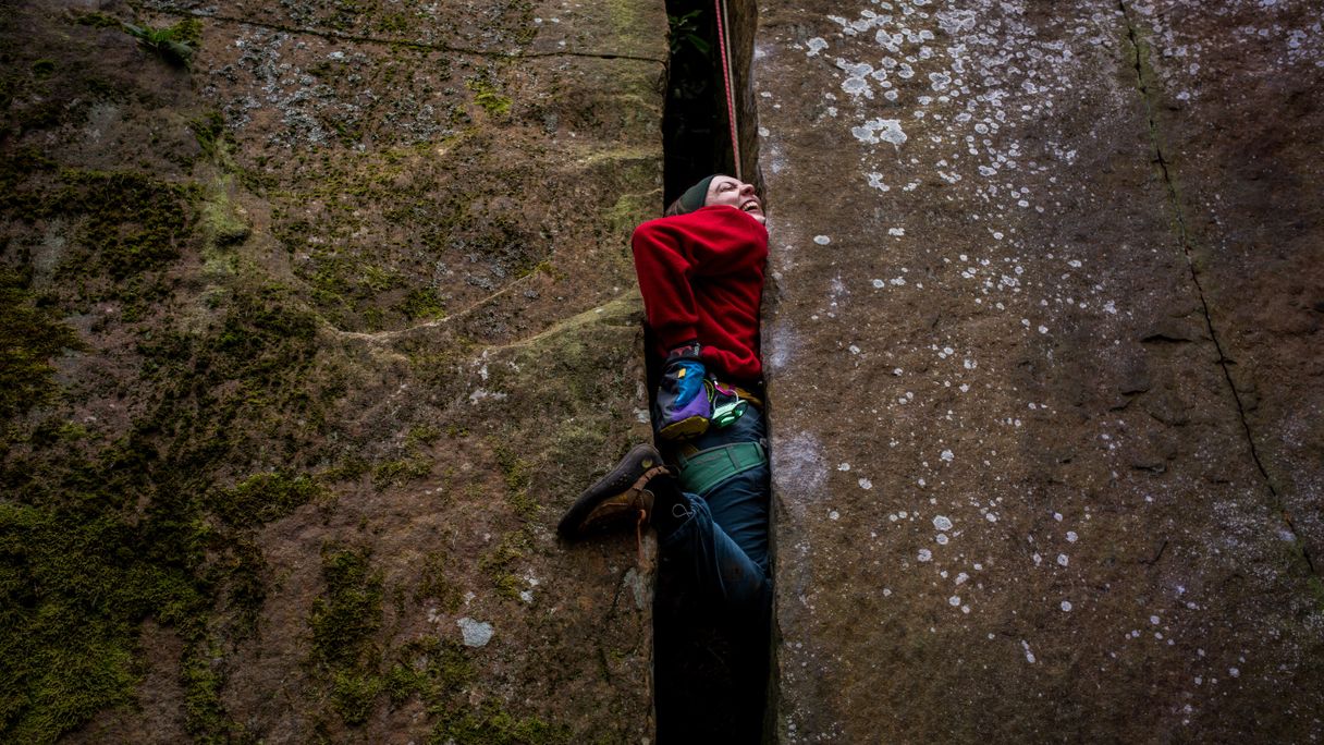 Rivelin Quarry - Rhodedendron crack