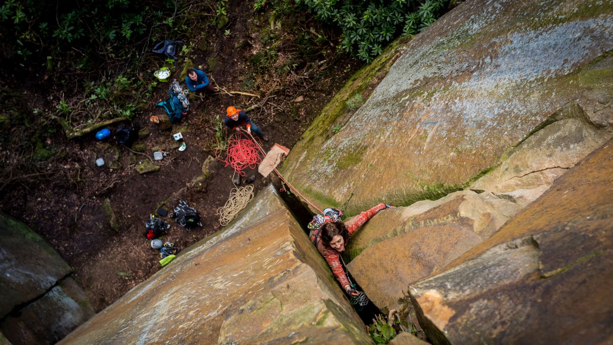 Rivelin Quarry - Rhodedendron crack