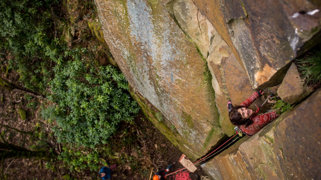 Rivelin Quarry - Rhodedendron crack