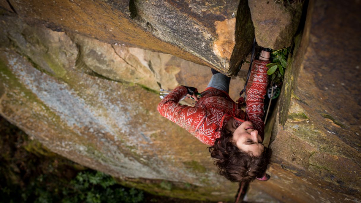 Rivelin Quarry - Rhodedendron crack